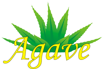 Agave travel